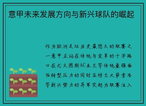 意甲未来发展方向与新兴球队的崛起